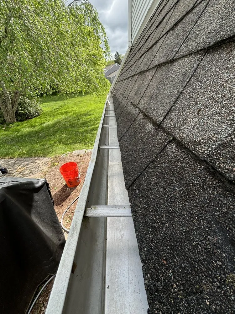 Custom landscape design in Hartford, CT - New England Natives