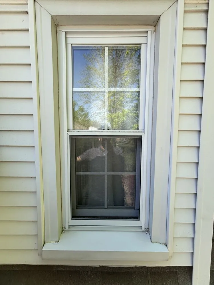 Custom yard maintenance in Hartford, CT - New England Natives