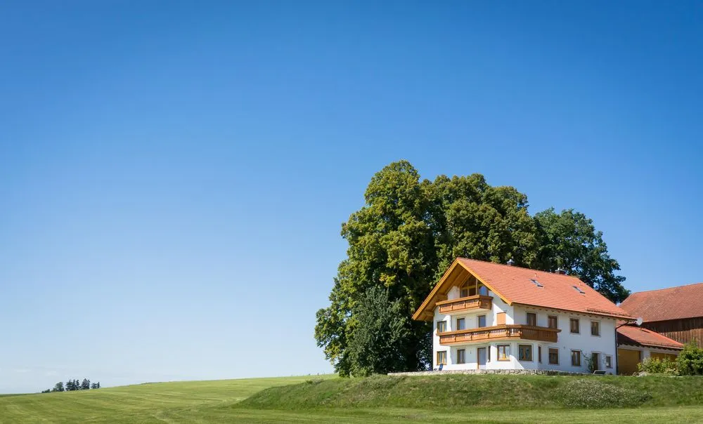 Trusted residential landscaping in Hartford, CT by New England Natives