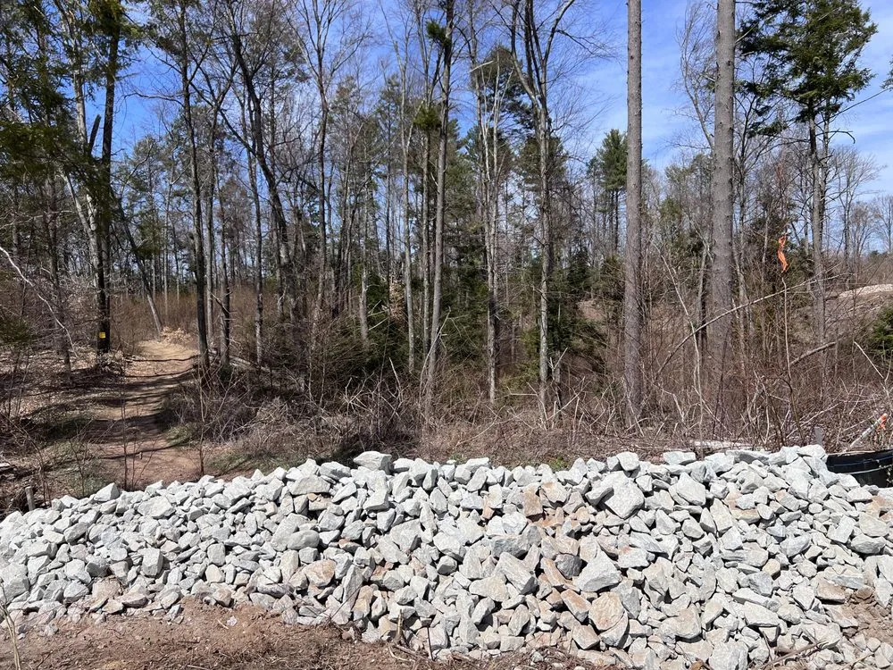 Expert yard cleanup service for year-round maintenance in Bloomfield, CT by New England Natives Landscaping