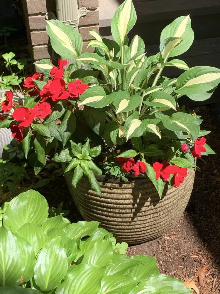 Reliable landscaping services near you in Bedford, MA by New England Nurseries