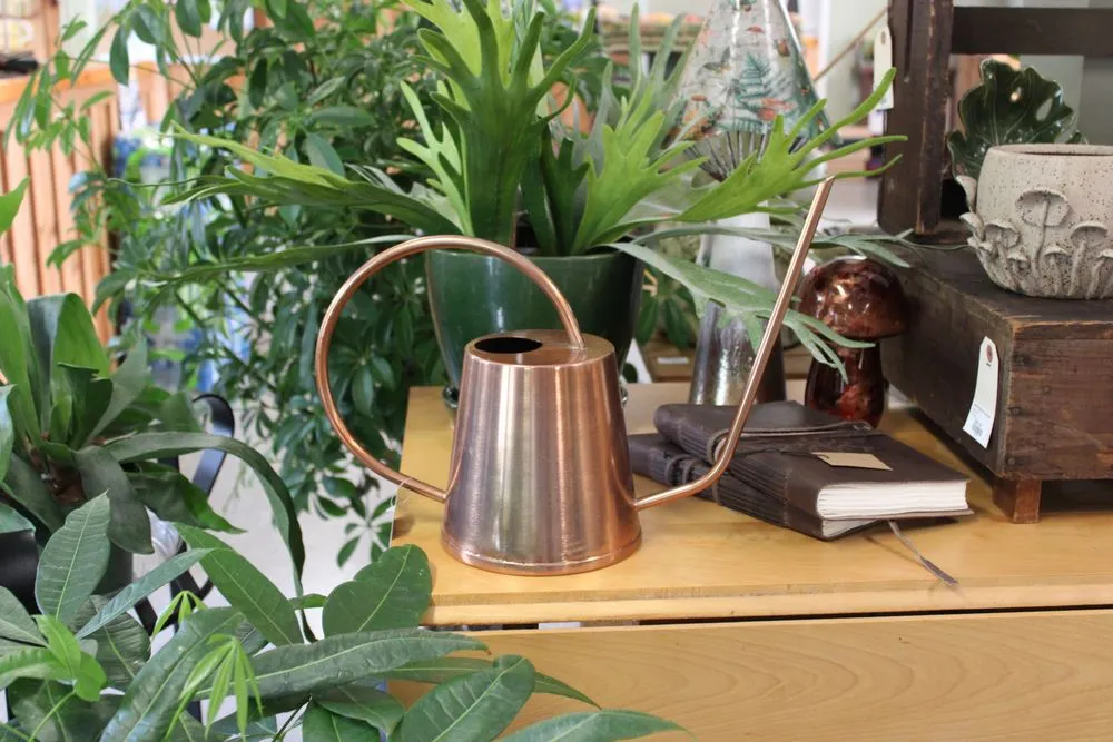 Custom outdoor landscaping in Bedford, MA - New England Nurseries