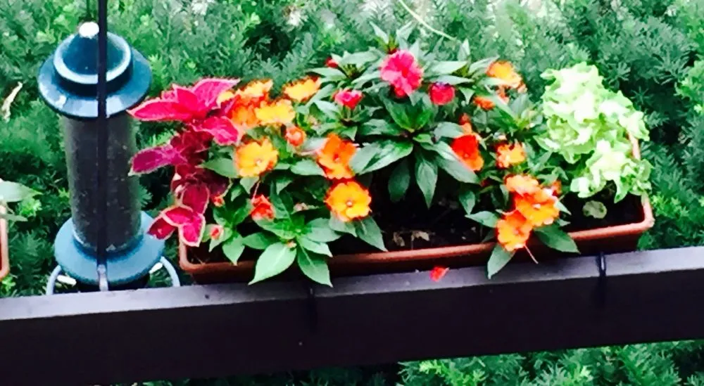 Custom landscaping services with custom design in Bedford, MA by New England Nurseries