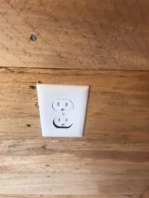 New England Property Maintenance Logo