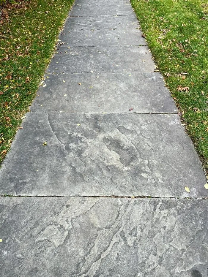 Expert lawn care service experts serving Moravia, NY - New England Stone