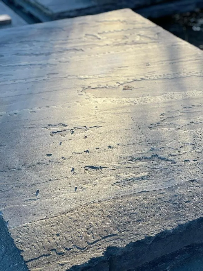 Expert yard cleanup service with custom design in Moravia, NY by New England Stone