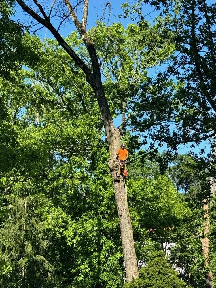 Trusted landscape installation in Greenwich, CT - New England Total Landscaping