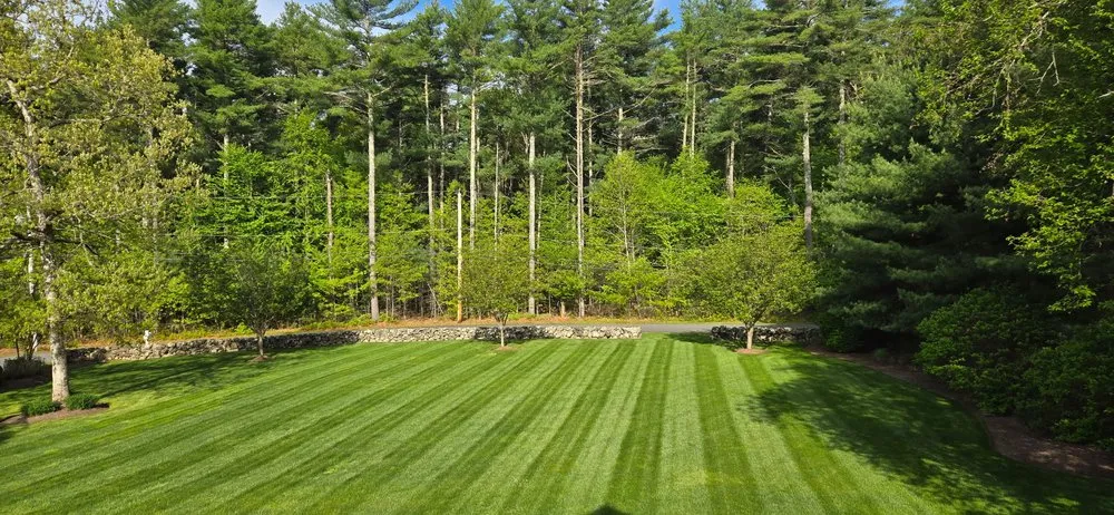 Reliable landscape design experts serving Fairhaven, MA - New England Tree & Landscape