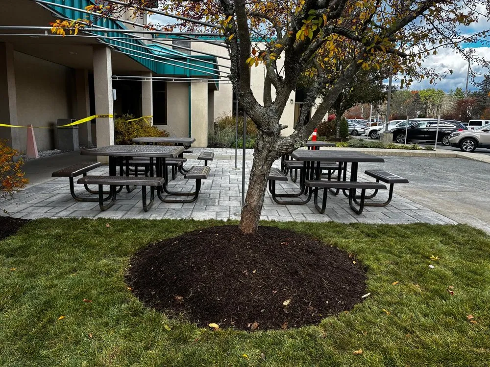 Affordable lawn care service experts serving Fairhaven, MA - New England Tree & Landscape