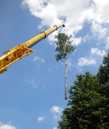 Custom garden landscaping in Shrewsbury, MA by New England Tree Experts