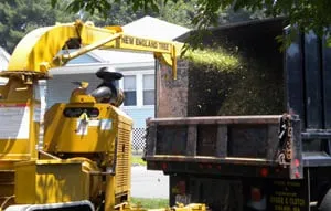 Professional garden landscaping near you in Shrewsbury, MA by New England Tree Experts