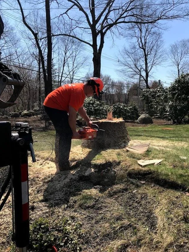 Top-rated landscape design in Shrewsbury, MA by New England Tree Experts