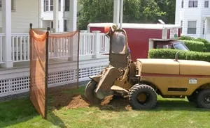 Professional yard cleanup service in Shrewsbury, MA - New England Tree Experts