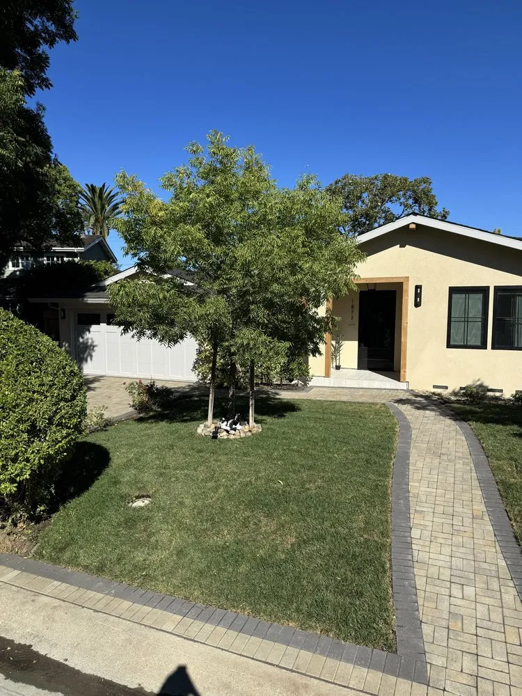 Trusted yard cleanup service with custom design across Palo Alto, CA - New Era Design