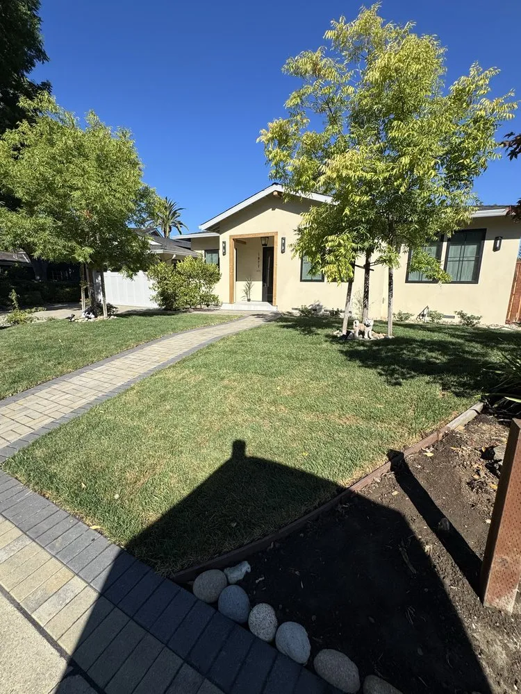 Expert yard cleanup service in Palo Alto, CA by New Era Design