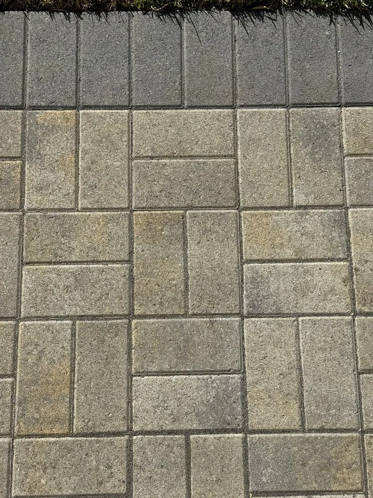 Reliable landscaping services for year-round maintenance across Palo Alto, CA - New Era Design