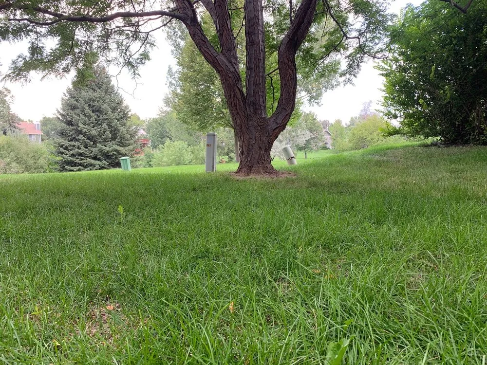Top-rated lawn mowing service in Boulder, CO by New Era Irrigation