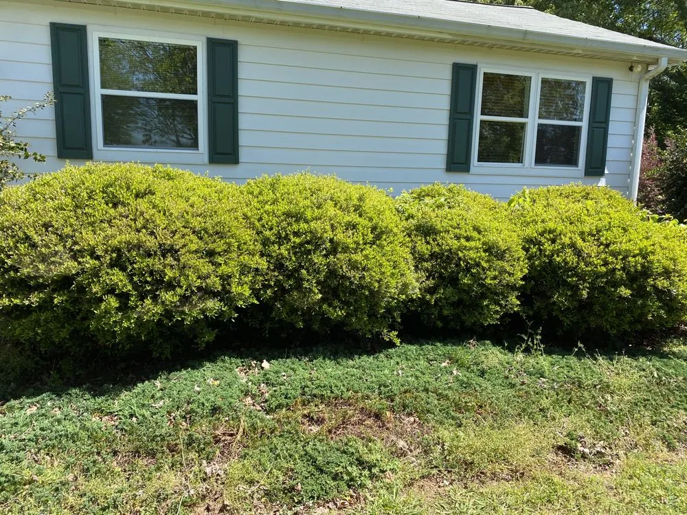 Local landscaping services in McDonough, GA by New Era Landscaping & Lawn Care
