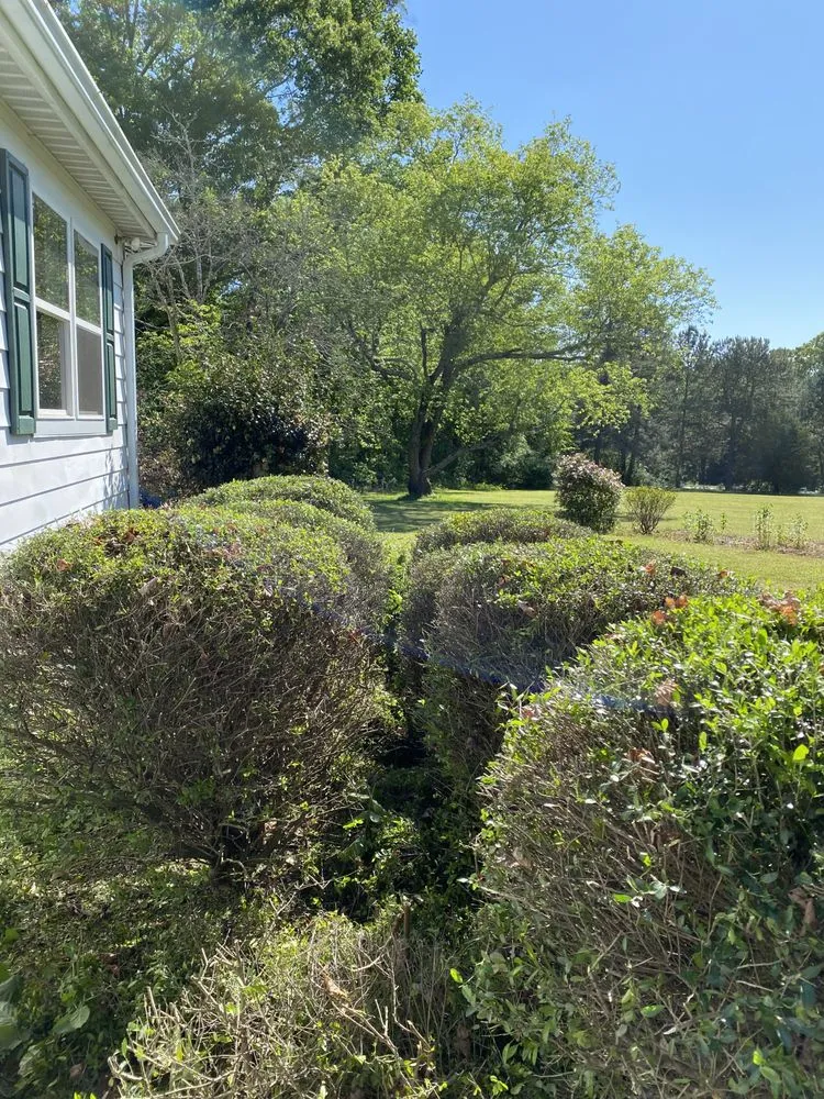 Reliable landscape installation experts serving McDonough, GA - New Era Landscaping & Lawn Care