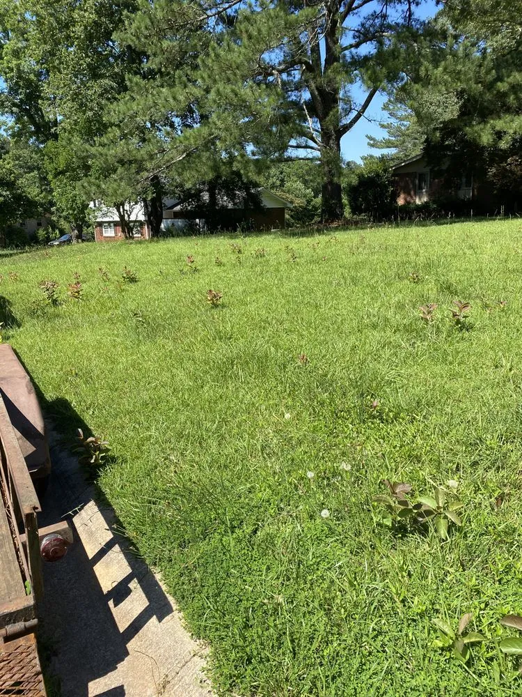 Affordable outdoor landscaping for homes in McDonough, GA by New Era Landscaping & Lawn Care