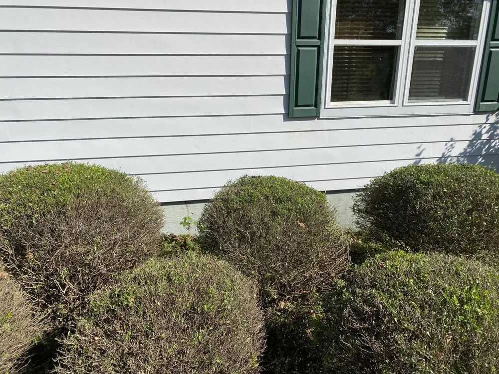 Trusted lawn mowing service in McDonough, GA by New Era Landscaping & Lawn Care