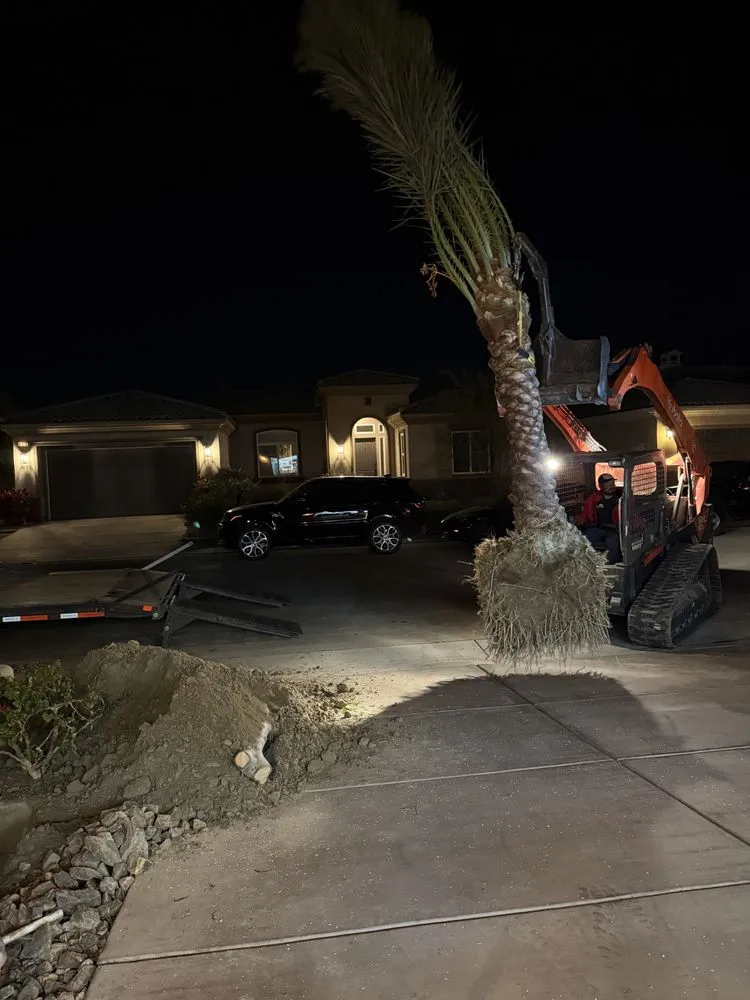 Expert yard maintenance in La Quinta, CA by New era landscaping and palm trees