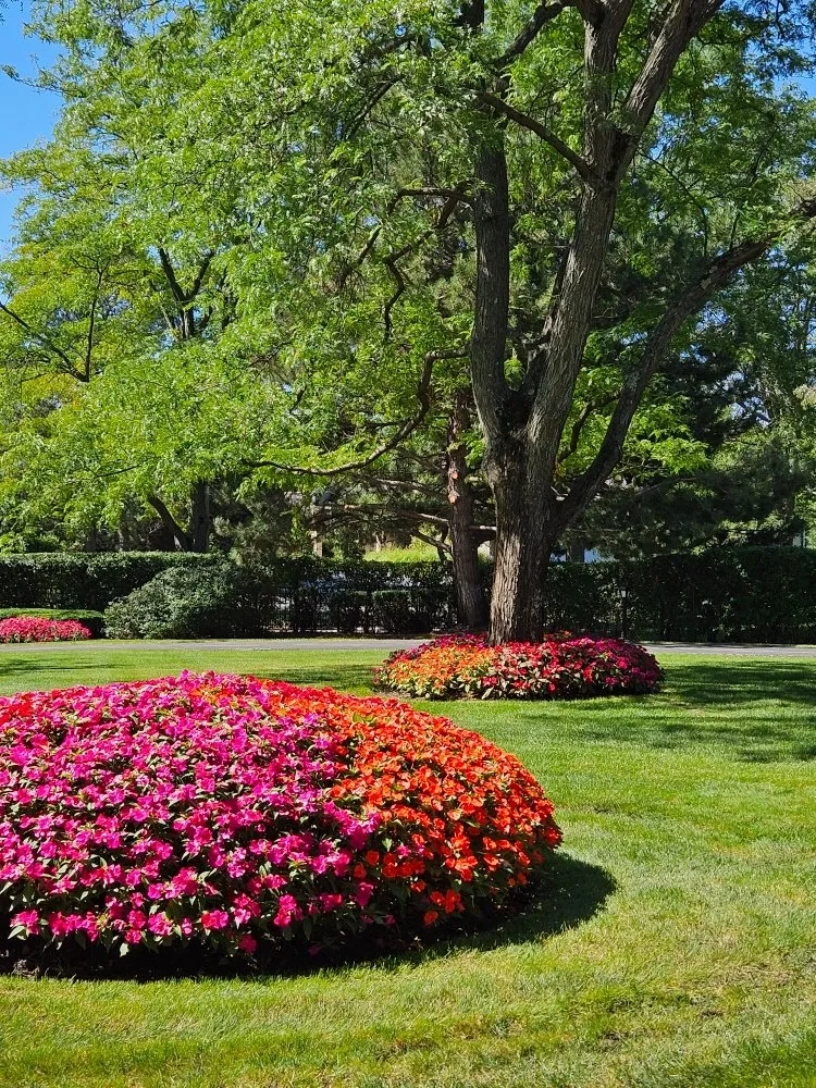 Expert lawn mowing service near you across West Chicago, IL - New Era Landscaping