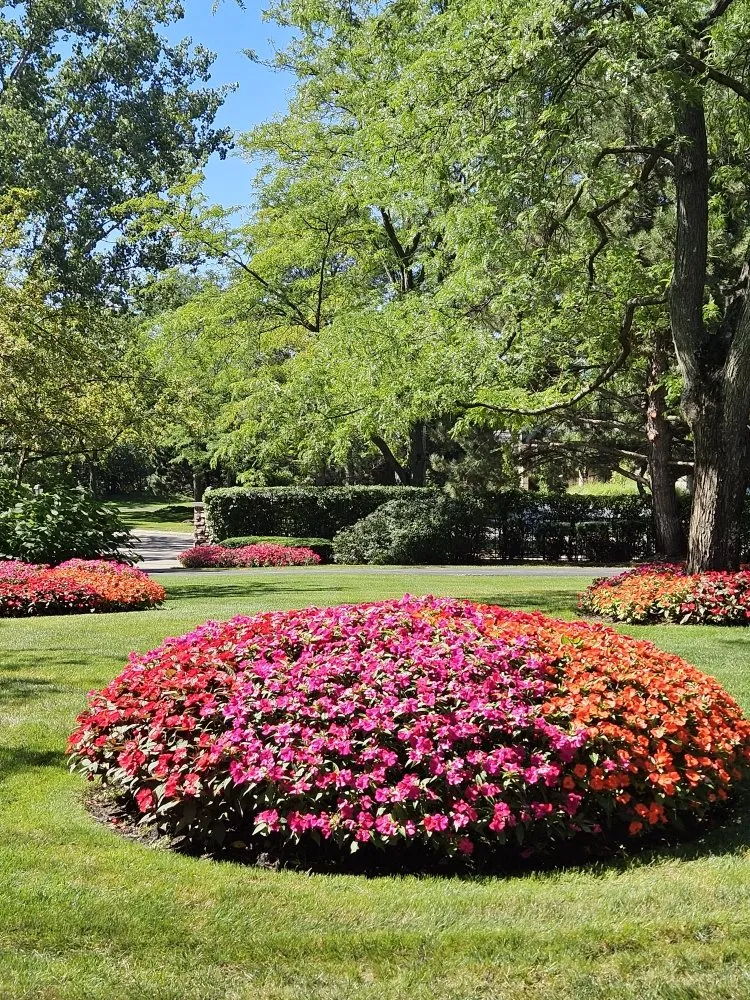 Custom yard cleanup service for year-round maintenance across West Chicago, IL - New Era Landscaping