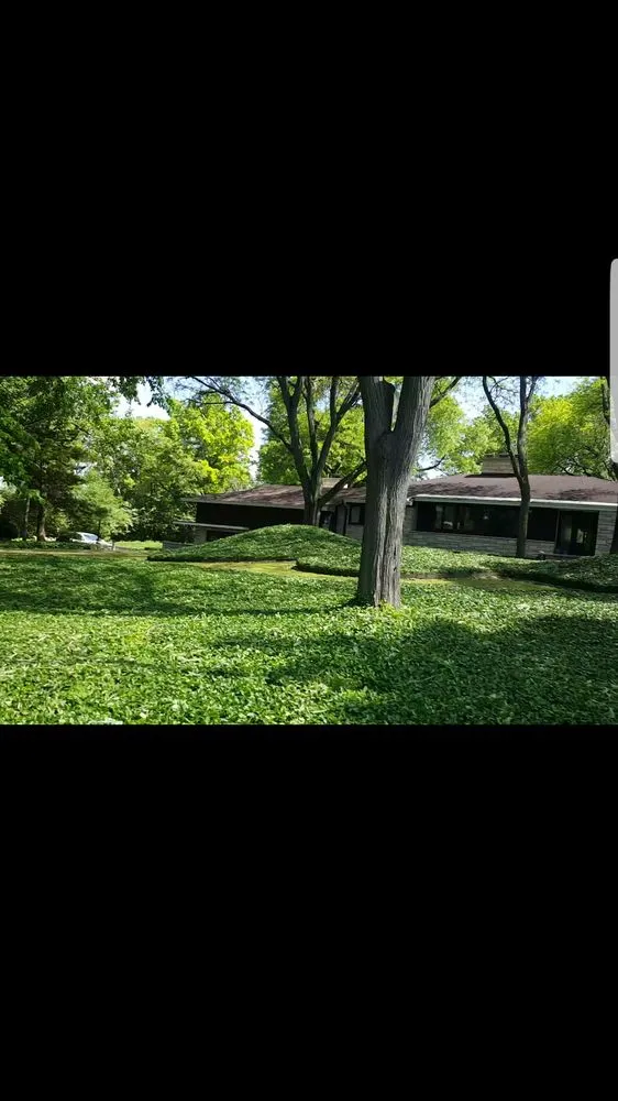 Professional yard cleanup service for year-round maintenance across West Chicago, IL - New Era Landscaping