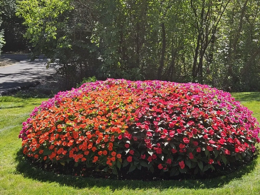 Custom lawn mowing service for homes in West Chicago, IL by New Era Landscaping