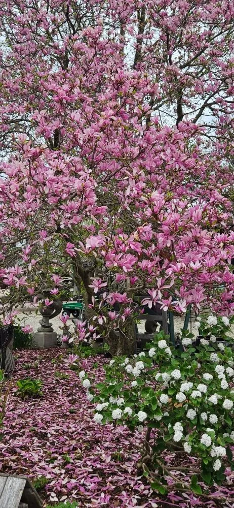 Professional landscape installation for year-round maintenance in West Chicago, IL by New Era Landscaping