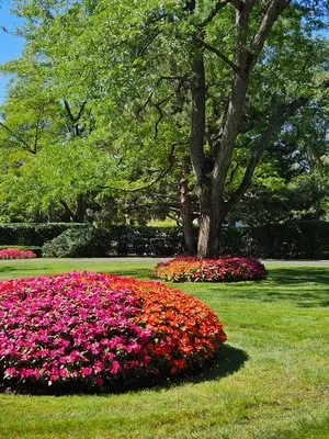 New Era Landscaping Logo