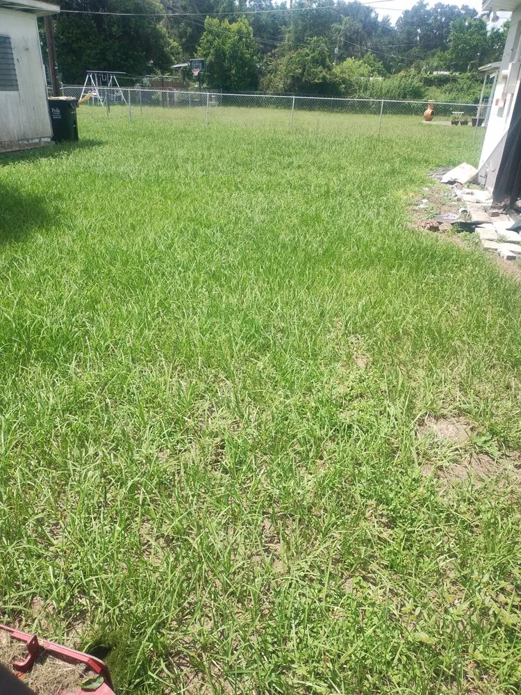 Expert landscaping services in Wauchula, FL - New Era Lawn Maintenance