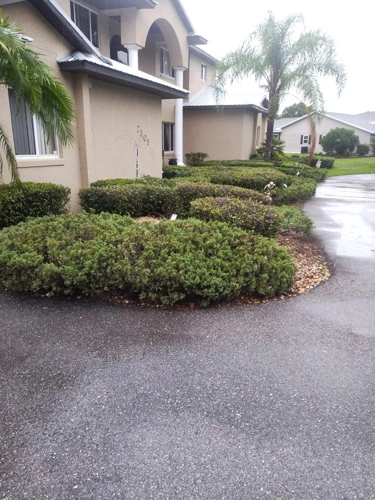 Affordable landscaping services experts serving Wauchula, FL - New Era Lawn Maintenance