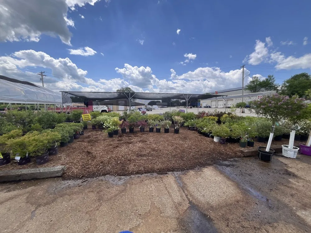 Custom landscaping services for year-round maintenance across Hillsboro, WI - New Era Nursery