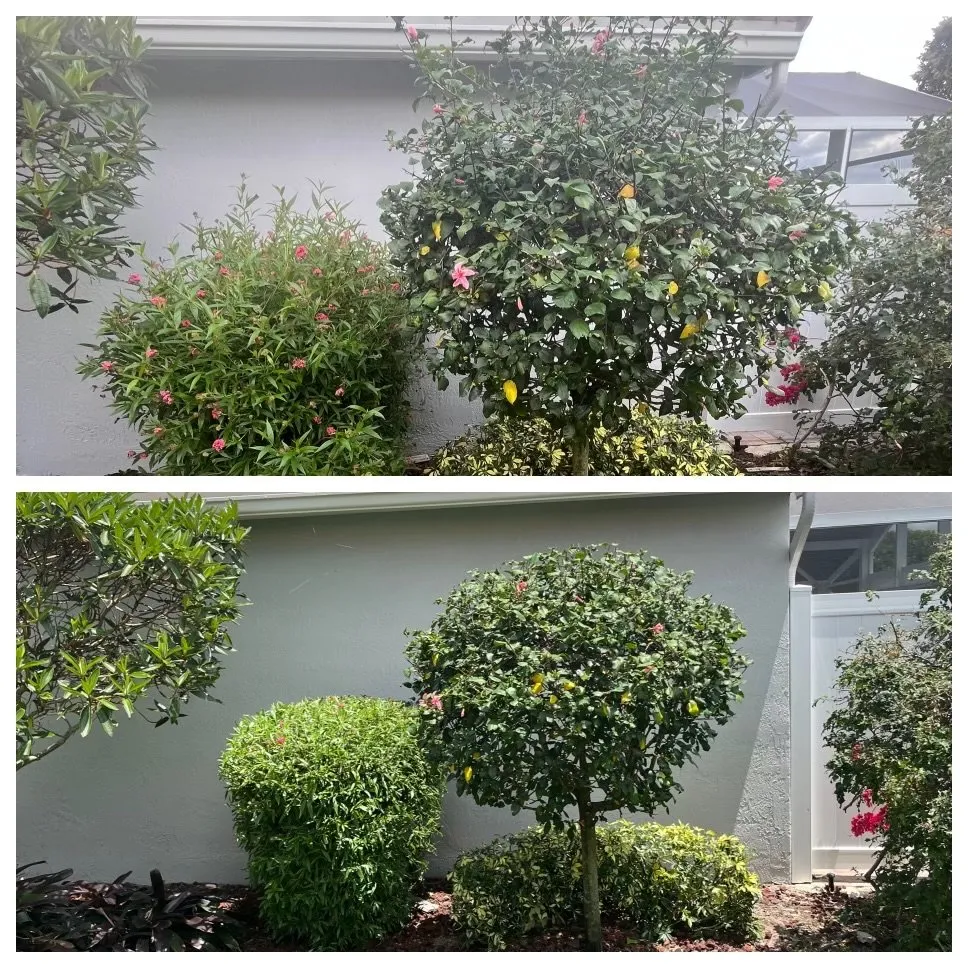 Trusted lawn care service for outdoor upgrades across Boynton Beach, FL - New Era Rivera Landscaping