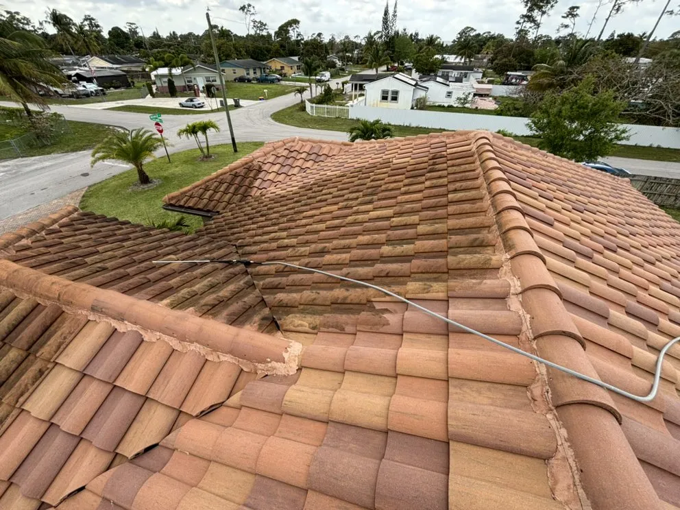 Professional yard cleanup service in Boynton Beach, FL - New Era Rivera Landscaping