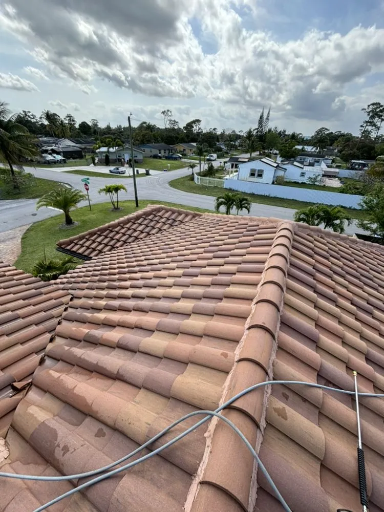 Professional garden landscaping with custom design across Boynton Beach, FL - New Era Rivera Landscaping