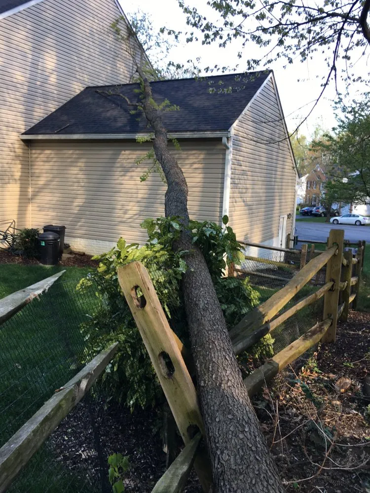 Expert residential landscaping experts serving Riverdale, MD - New Forest Tree Care