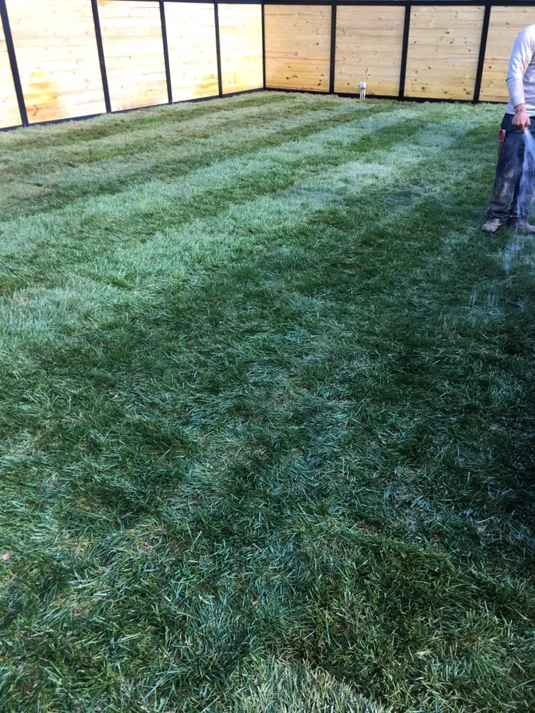Top-rated garden landscaping for outdoor upgrades in Riverdale, MD by New Forest Tree Care