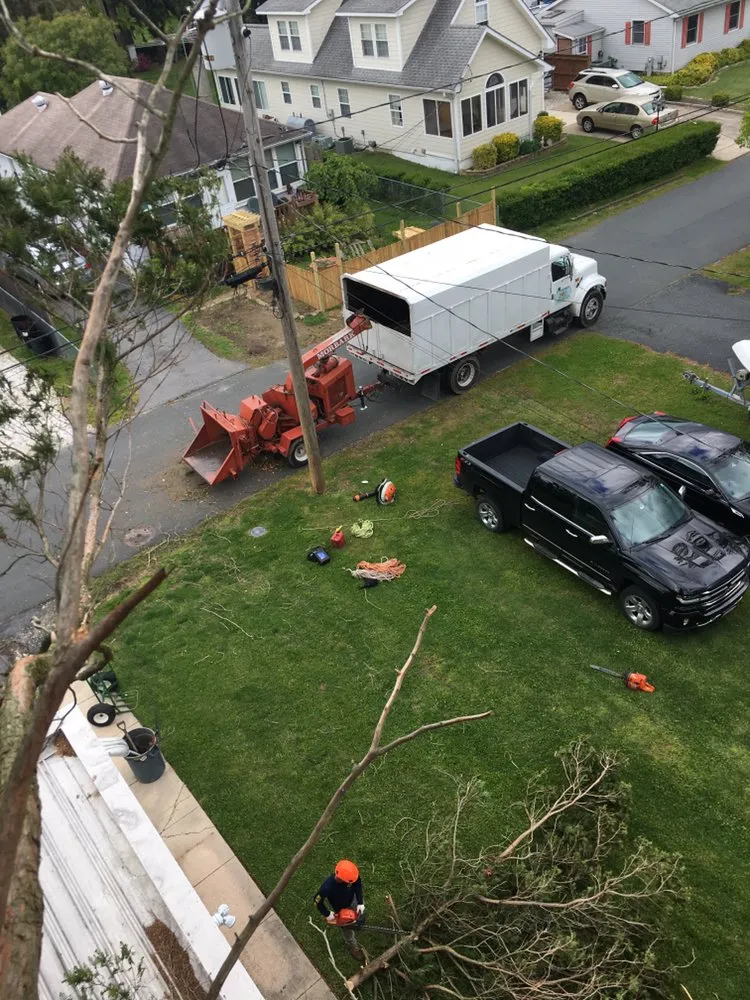 Affordable outdoor landscaping for beautiful yards in Riverdale, MD by New Forest Tree Care