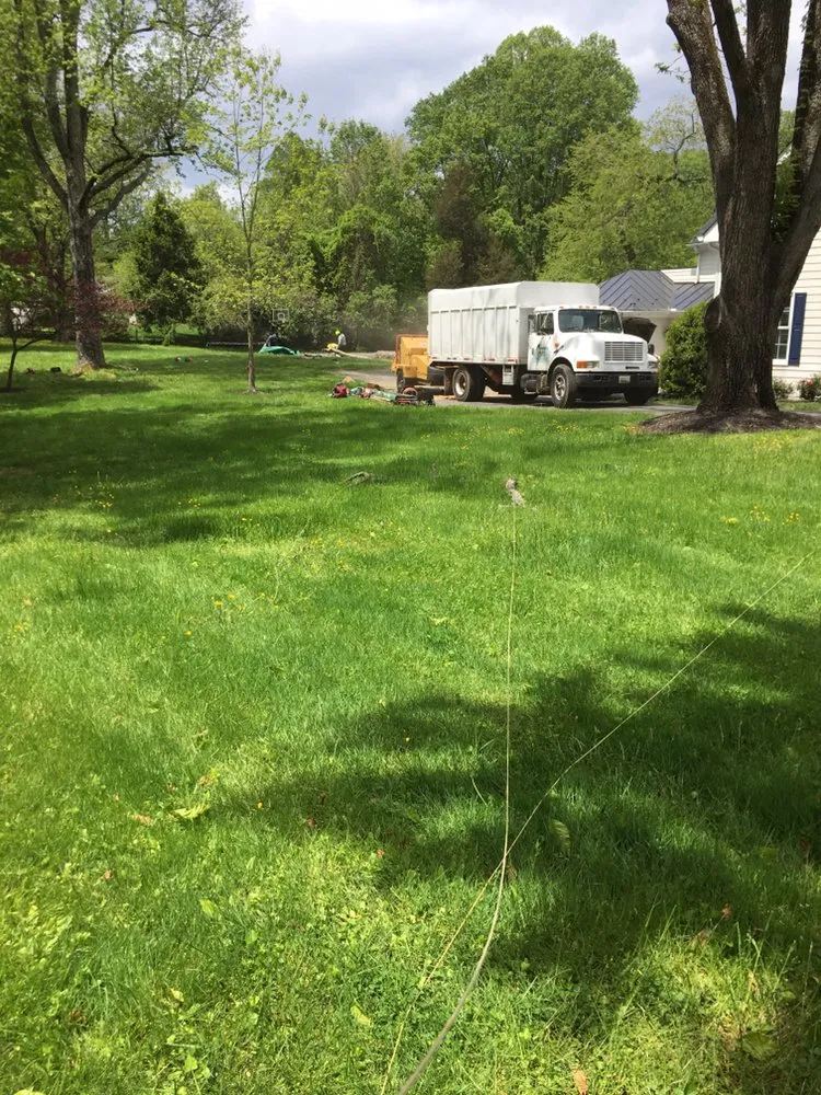 Trusted outdoor landscaping near you in Riverdale, MD by New Forest Tree Care