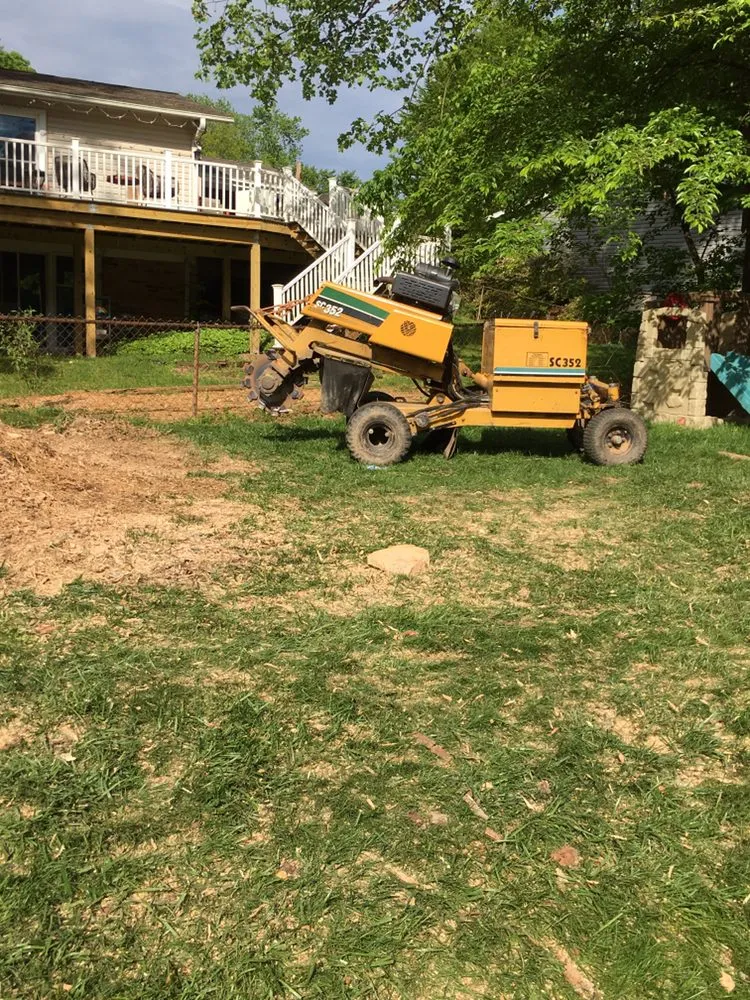 Expert landscaping services in Riverdale, MD by New Forest Tree Care