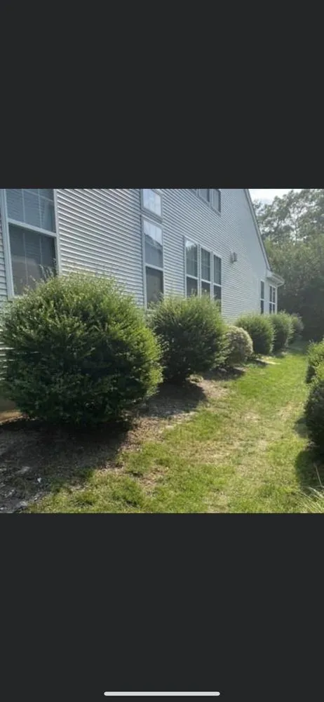 Custom landscaping services for beautiful yards across Waretown, NJ - New Found landscaping