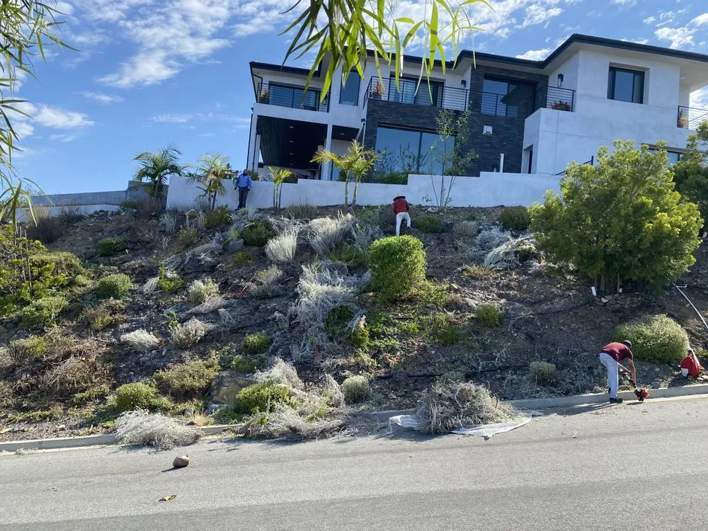 Professional outdoor landscaping in Vista, CA by New Foundation Landscape