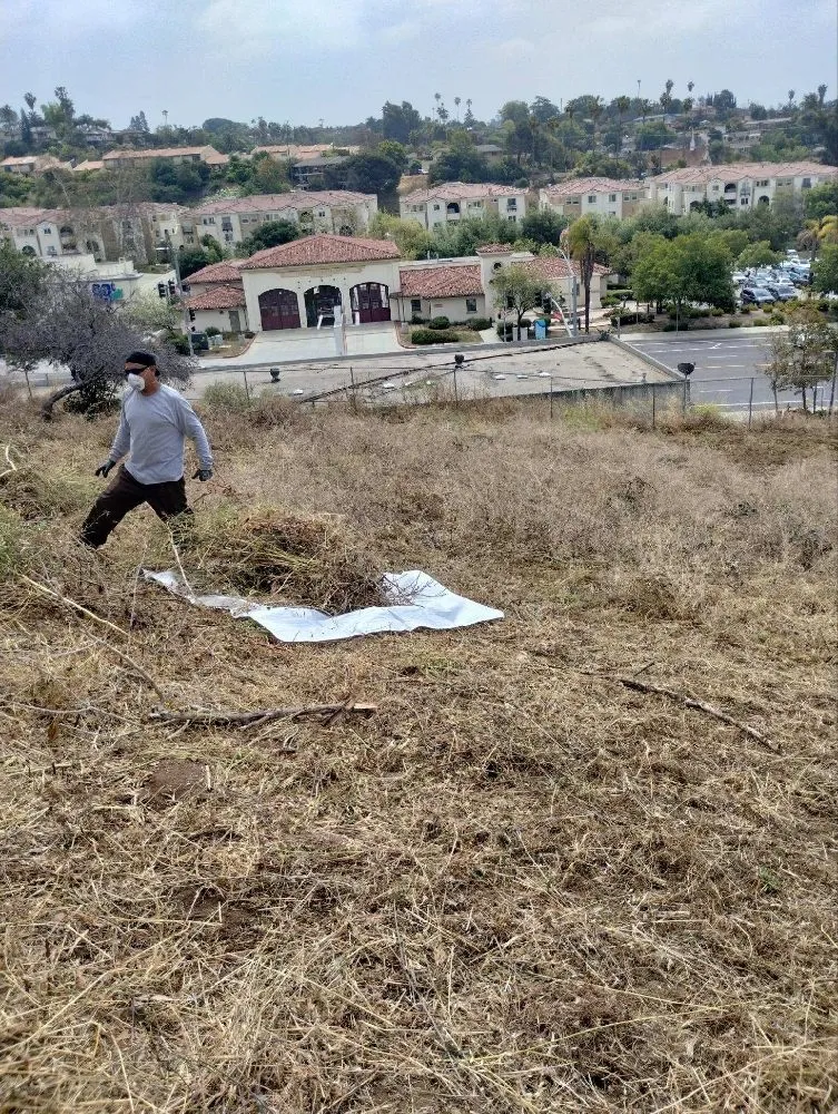 Top-rated lawn care service in Vista, CA - New Foundation Landscape