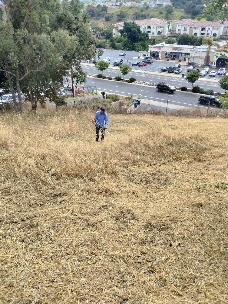 Expert yard cleanup service experts serving Vista, CA - New Foundation Landscape