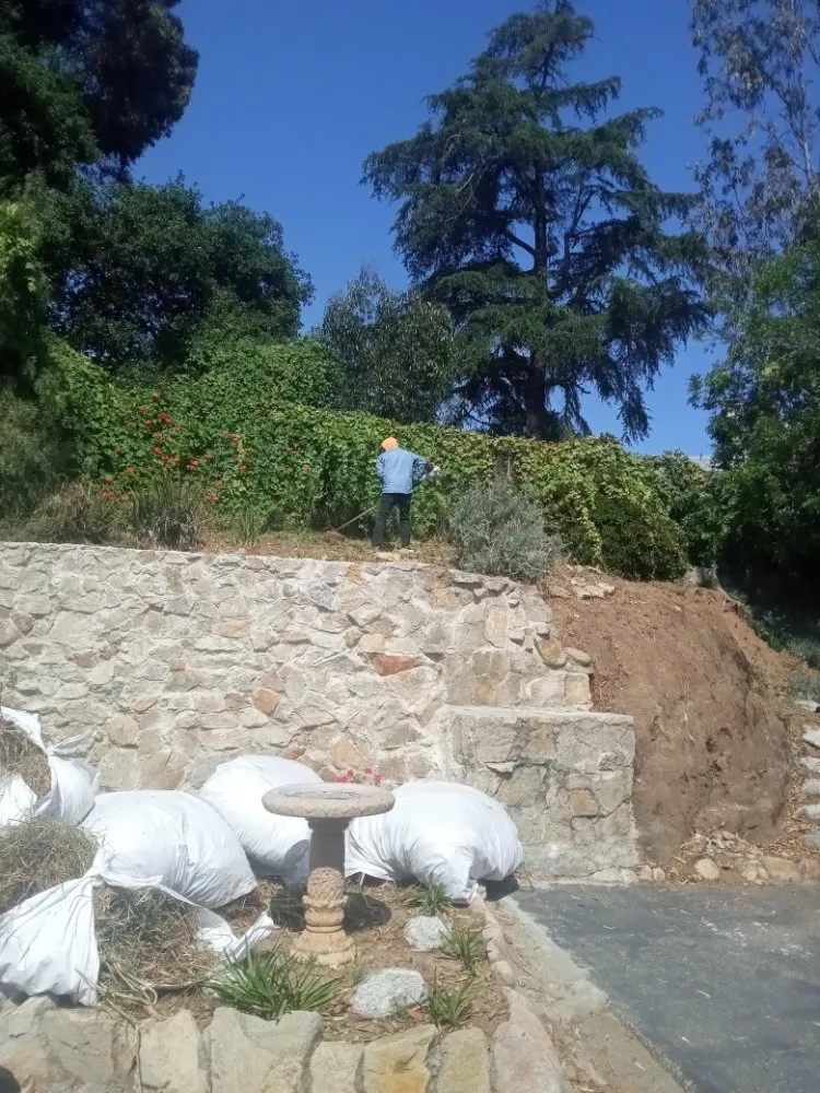 Reliable residential landscaping experts serving Vista, CA - New Foundation Landscape