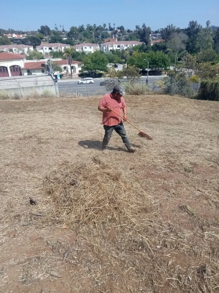 Trusted outdoor landscaping experts serving Vista, CA - New Foundation Landscape