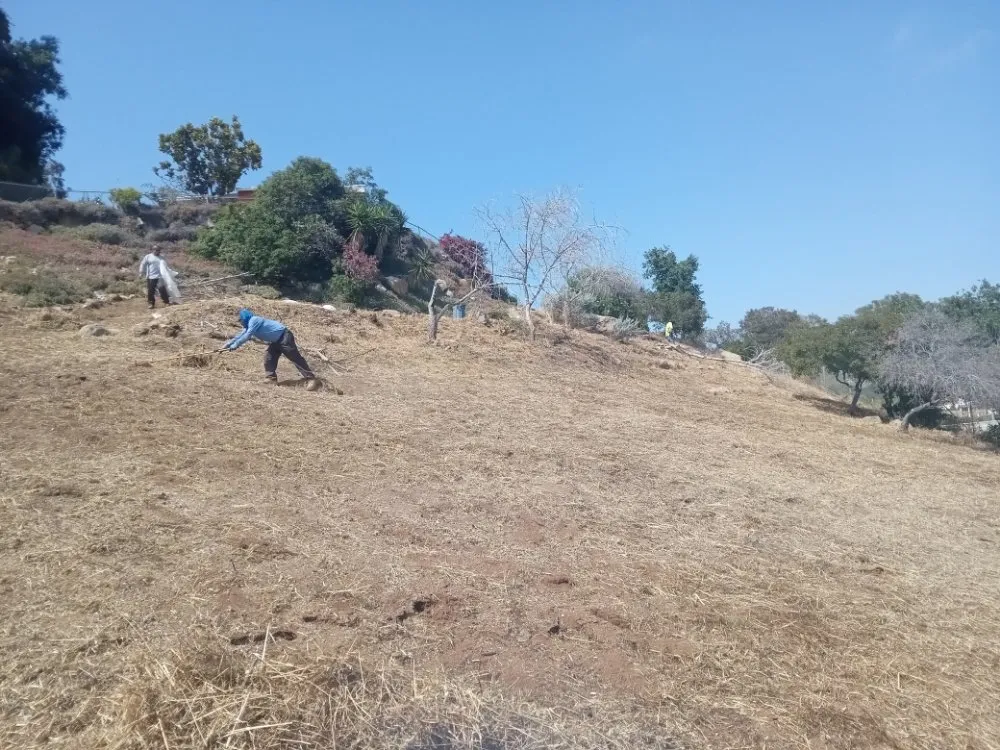 Trusted landscape installation with custom design across Vista, CA - New Foundation Landscape